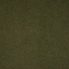 Veludo Verde Escuro | Casino Forest (Foto)